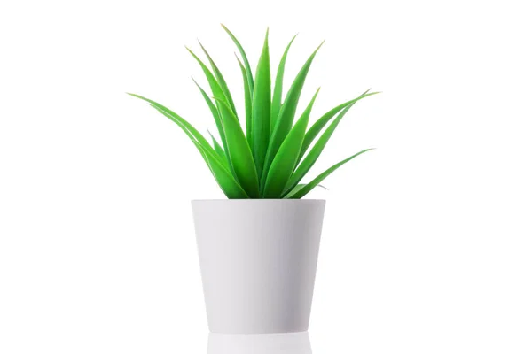 Green Plant Pot Home Artificial Flower Vase Decoration — Stock Photo, Image