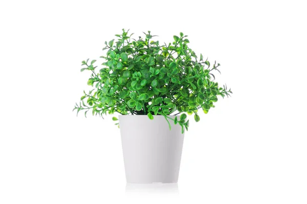 Groene Plant Een Pot Thuis Kunstmatige Bloem Vaas Decoratie — Stockfoto