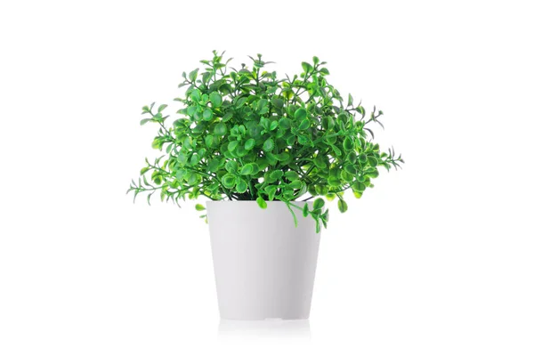 Green Plant Pot Home Artificial Flower Vase Decoration — Stock Photo, Image