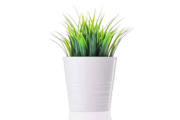 Groene Plant Een Pot Thuis Kunstmatige Bloem Vaas Decoratie — Stockfoto