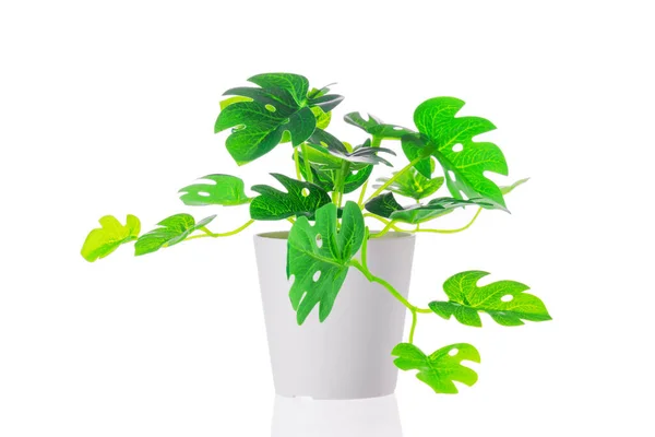 自宅で鍋に緑の植物 造花花瓶の装飾 — ストック写真