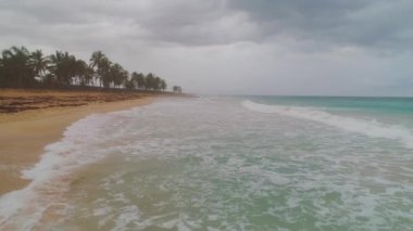 Palmiye ağaçları ve okyanus dalgaları olan tropik bir cennet adasının sahil şeridi üzerindeki hava manzarası. Playa Macao, Punta Cana, Dominik Cumhuriyeti