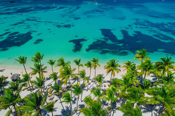 Vue Aérienne Plage Tropicale Punta Cana République Dominicaine — Photo