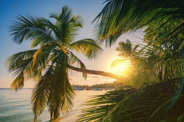 Krajobraz Rajskiej Tropikalnej Plaży Wyspowej Ujęcie Wschodu Słońca — Zdjęcie stockowe
