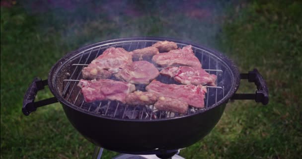 Verão Natureza Churrasqueira Com Carne Tendo Churrasco Piquenique Livre — Vídeo de Stock