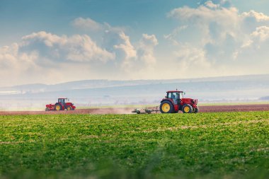 Traktördeki çiftçi gelecek yıl için fidelerle tarım arazisi hazırlıyor.