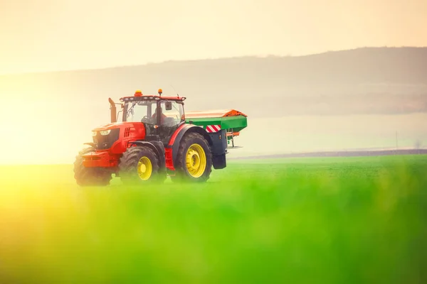 Agricultor Trator Fertilizando Campo Trigo Hdr Paisagem Natureza — Fotografia de Stock