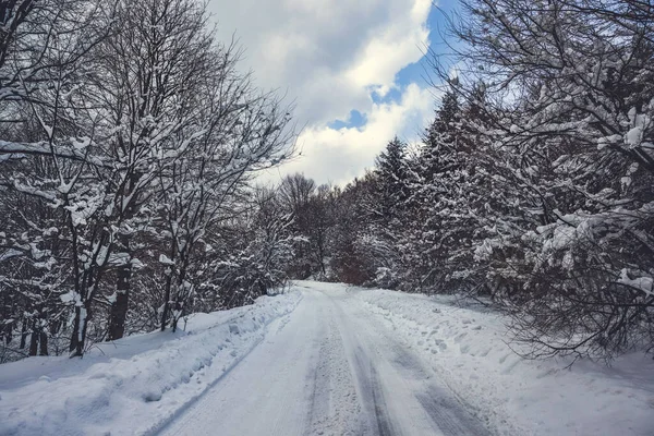 Χειμερινός Ορεινός Δρόμος Χιόνι Στο Δασικό Τοπίο — Φωτογραφία Αρχείου
