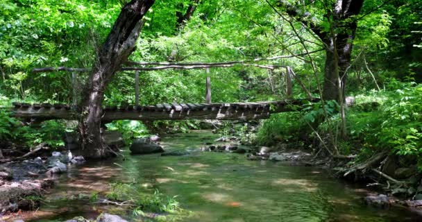 Płynący Strumień Lesie Wodospad Górska Rzeka Potok Drewniany Most — Wideo stockowe