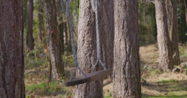 Деревянные Качели Висящие Ветру Лесу Детство Беззаботность — стоковое видео