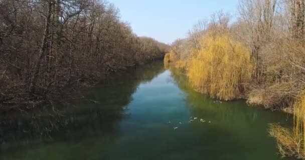 Flygfoto Över Kamchiya Floden Vid Svarta Havskusten Bulgarien Och Flygande — Stockvideo