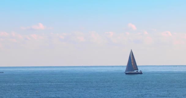 Kleine Jacht Boot Varen Zeewater Zonnige Dag — Stockvideo