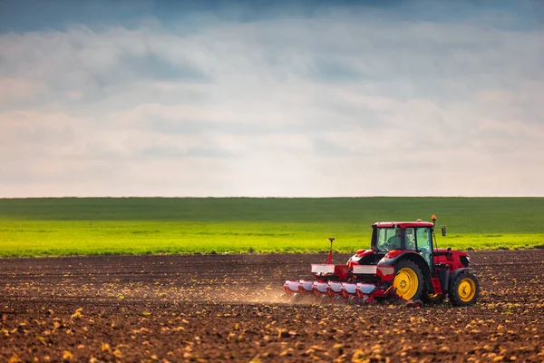 Agricultor Trator Preparando Terras Agrícolas Com Mudas Para Próximo Ano — Fotografia de Stock