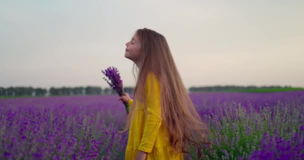 Girl Lavender Flowers Field Sunset Yellow Dress Enjoying Blooming Fields — Video