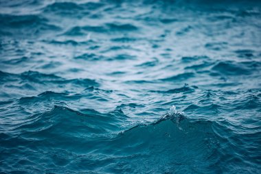 Sabah sisiyle dalgalı deniz dalgaları.