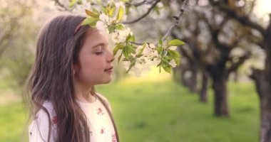 Mutlu güzel kız elma bahçesinde çiçek açan bahar ağaçlarının tadını çıkarıyor. Yavaş çekim 4K video kaydı