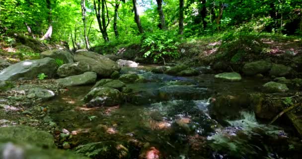 Zelený Les Vodopád Voda Tekoucí Mezi Starými Skalními Kameny Creek — Stock video