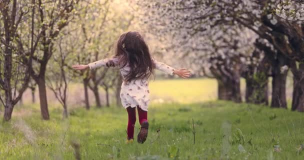 Beztroska Szczęśliwa Dziewczyna Uruchomić Cieszyć Kwitnące Wiosenne Drzewa Sadzie Jabłoni — Wideo stockowe