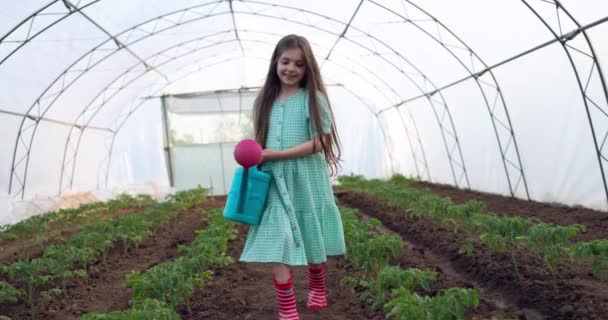 Serada Organik Sebzeler Yetişiyor Çiftçi Kız Taze Fideleri Suluyor — Stok video