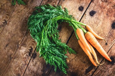 Siyah arka planda izole edilmiş taze organik havuç demeti