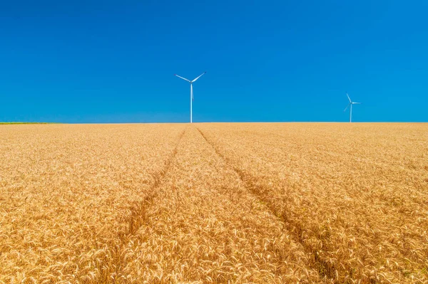 Голубое Небо Золотое Пшеничное Поле Ветряными Турбинами Генерирующими Электричество Сельское — стоковое фото