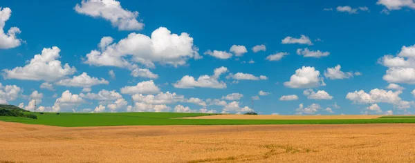 Agricultural Fields Countryside Wheat Field Sunny Day Clouds — Stockfoto