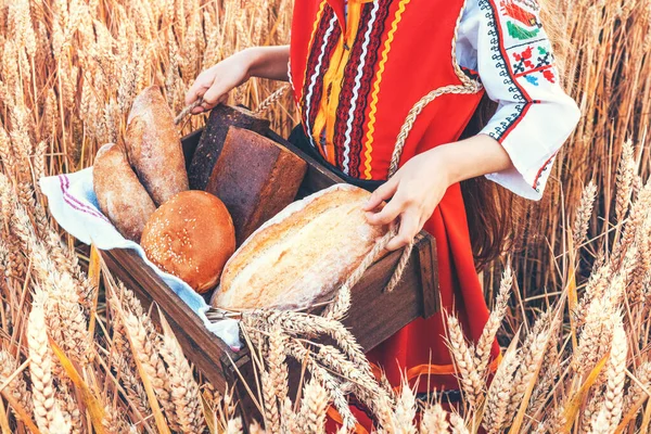 Beautiful Girl Woman Traditional Bulgarian Folklore Dress Holding Wicker Basket — Stockfoto