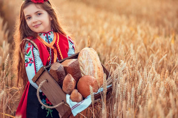 Mulher Búlgara Vestido Folclore Mantém Pão Cesta Campo Trigo — Fotografia de Stock