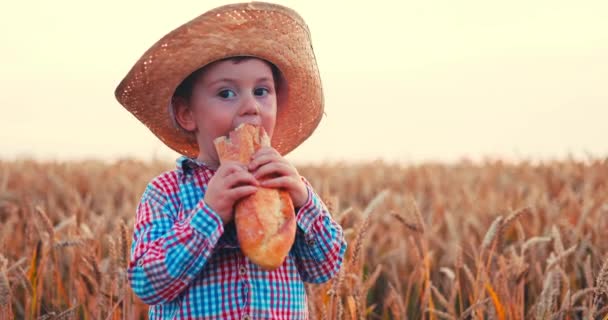 Farmer Boulanger Garçon Manger Pain Fait Maison Fraîchement Cuit Dans — Video