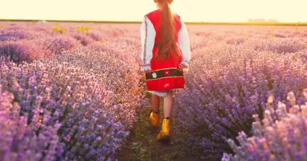 Bulgarian Girl Folklore Costume Running Flowers Lavender Field Sunset Dreaming — Vídeos de Stock