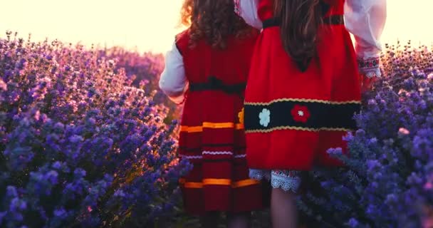Bulgarian Girls Folklore Costume Touch Flowers Lavender Field Harvest Sunset — Stock videók