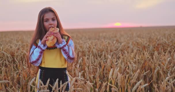 Bulgarian Girl Beautiful Woman Eating Freshly Baked Bread Harvest Golden — ストック動画