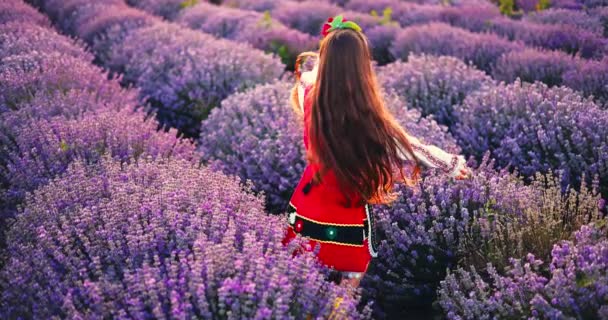 Bulgarian Woman Traditional Folklore Costume Picking Lavender Basket Sunset Young — Stockvideo