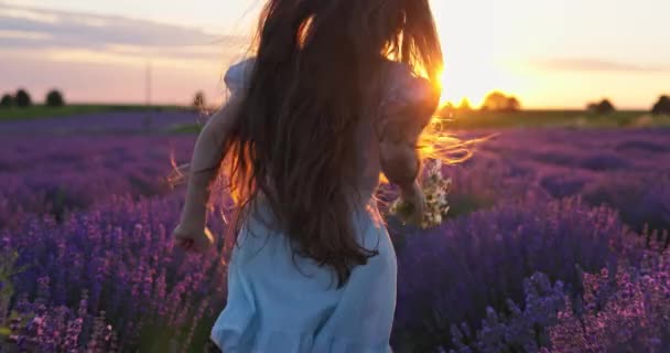 Joyful Girl Beautiful Woman Running Endless Blooming Lavender Fields Scenic — Wideo stockowe