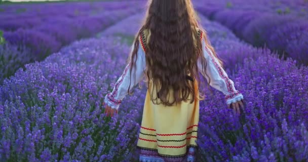 Bulgarian Young Girl Woman Folklore Costume Touch Lavender Blooming Flowers — Stockvideo
