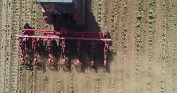 Tractor Cultivating Ground Agricultural Field Agronomy Agriculture Farming Concept — Vídeo de Stock
