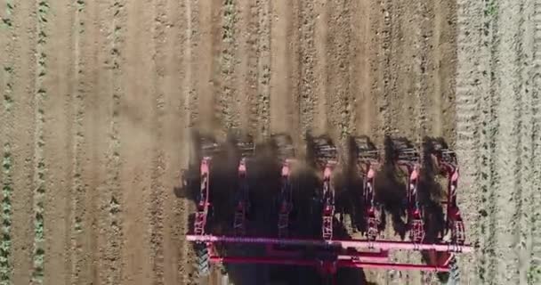 Tractor Cultivate Ground Agricultural Field Agronomy Agriculture Farming Concept — Wideo stockowe