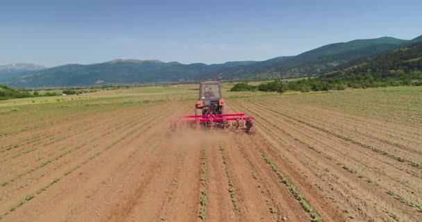 Tractor Cultivating Ground Agricultural Field Agronomy Agriculture Farming Concept — Wideo stockowe
