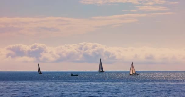 Sunny Day Calm Ocean Waves Sailing Wind Boats Sea Regatta — Stok video