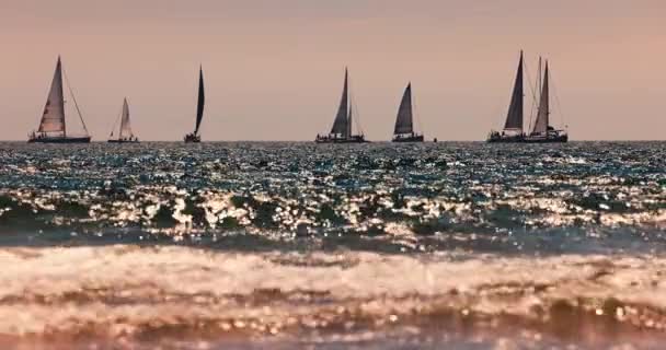 Sailing Wind Boats Sea Waves Rolling Beach Sand Summer Vacation — Vídeos de Stock