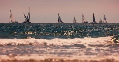 Sailing wind boats in the sea during sunny day. Summer regatta competition in Varna, Bulgaria