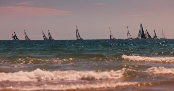 Sailing Wind Boats Sea Waves Rolling Beach Sand Summer Vacation — 图库视频影像