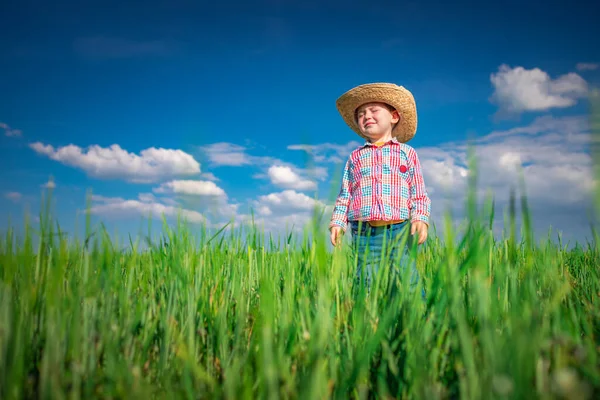 緑の小麦畑に藁帽子をかぶった小さな農家の少年 農業と農業の概念 — ストック写真
