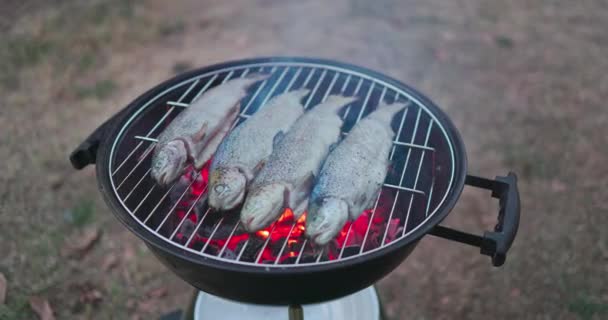Cooking Grilled Fish Flaming Grill Outdoor Barbeque Nature Summer Camping — 비디오