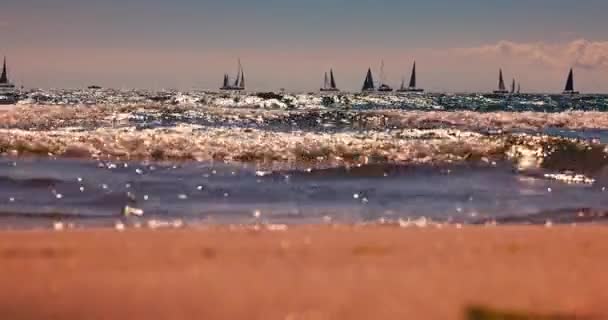 Ocean Beach Morning Sailing Wind Boats Sea Regatta Competition — Video