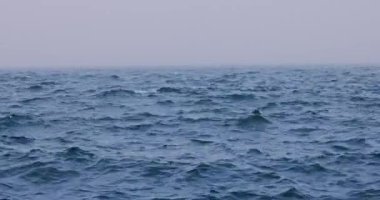 Sea ripple water with morning fog. Ocean waves sunrise, 4K video