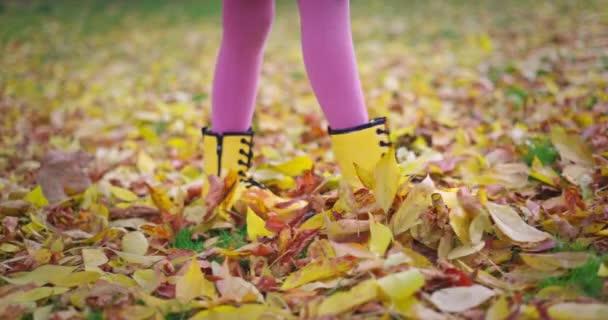 Autumn Park Happy Kid Playing Falling Autumn Leaves Ground Walking — ストック動画