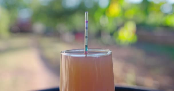 Winegrower Placing Hydrometer Glass Cup Test Grape Juice Checking Alcohol — Stockvideo