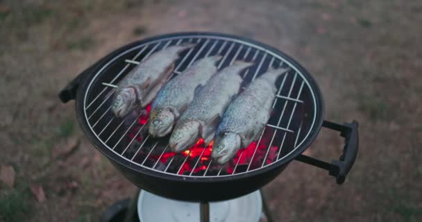 Making Family Barbeque Outdoor Cooking Grilled Fish Flaming Grill Bbq — 비디오