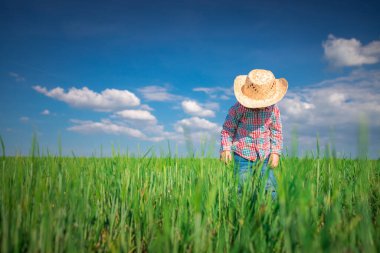 Yeşil buğday tarlasında hasır şapkalı küçük çiftçi çocuk. Tarım ve tarım kavramı.